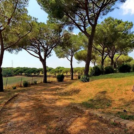 L'oasi Di Baal Villa Rome